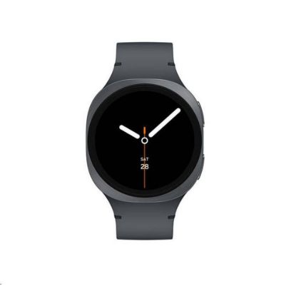 Obrázek Samsung Galaxy Watch8 (40mm) grafitová, EU