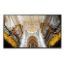 Obrázek SMART Signage LED QB65C 65" LH65QBCEBGCXEN