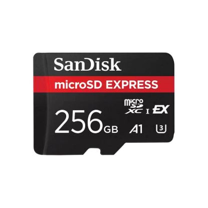 Obrázek SanDisk micro SDXC karta 256 GB Express (880/ 650 MB/ s, A1, UHS- I, U3)