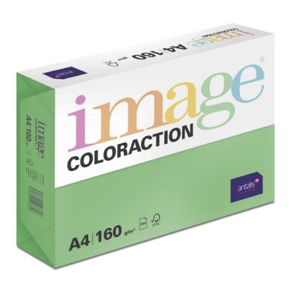 Obrázek Antalis Papír Image Coloraction Dublin - tmavě zelená (DG47) A4 (160g/ 250ks)