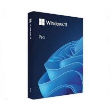 MS WINDOWS